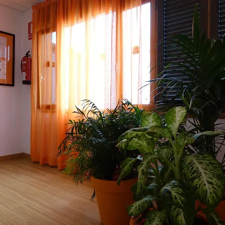 Szálloda Andrea's Los Cristianos