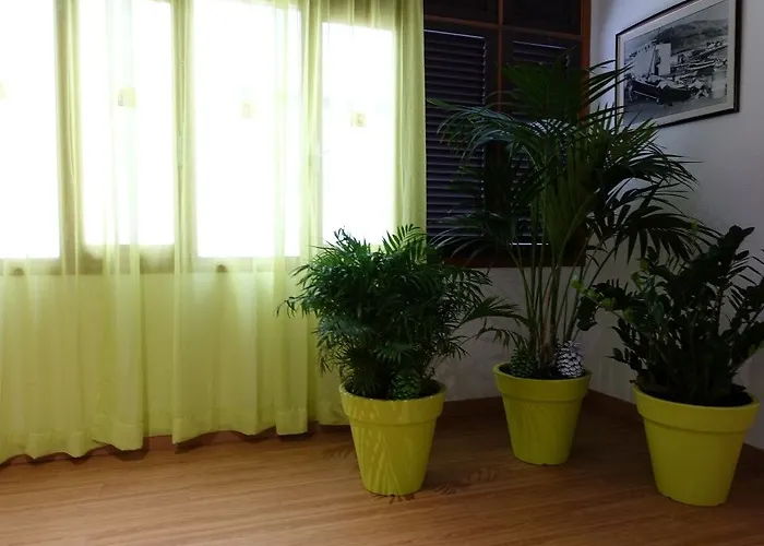 Andrea's Szálloda Los Cristianos