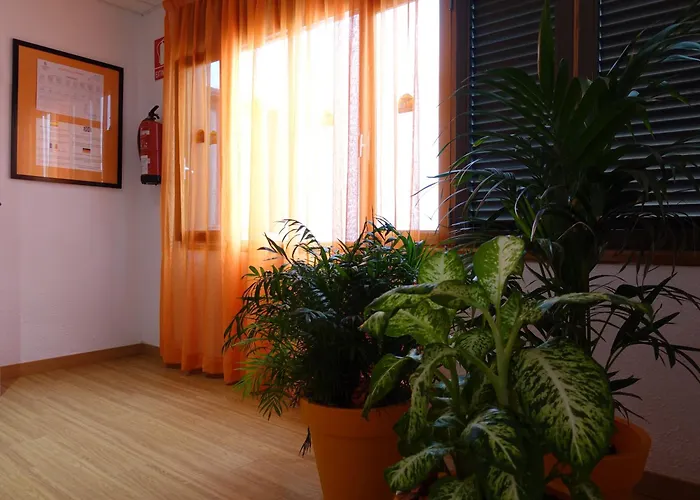 Hotel Andrea's Los Cristianos (Tenerife)