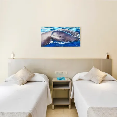 Andrea's Hotel Los Cristianos (Tenerife)