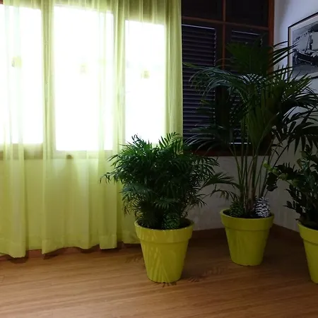 Andrea's Hotel Los Cristianos (Tenerife)